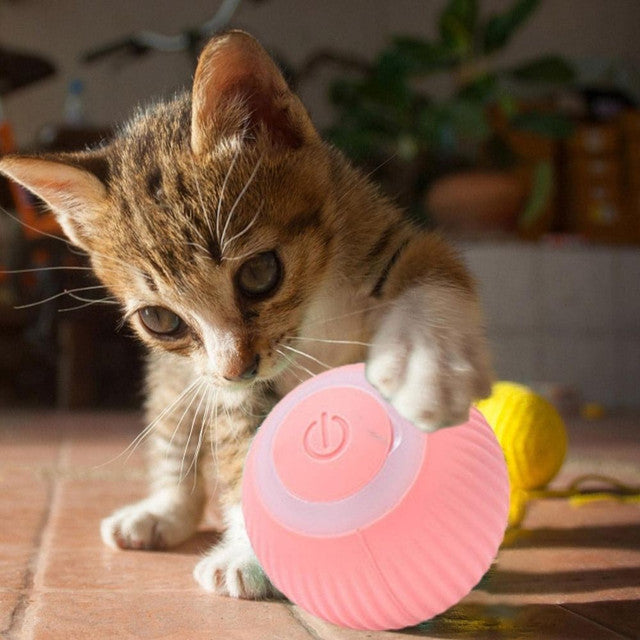 Bola Elétrica Inteligente Mágica para Animais de Estimação Cães e Gatos Brinquedos interativos Movimento Automático USB